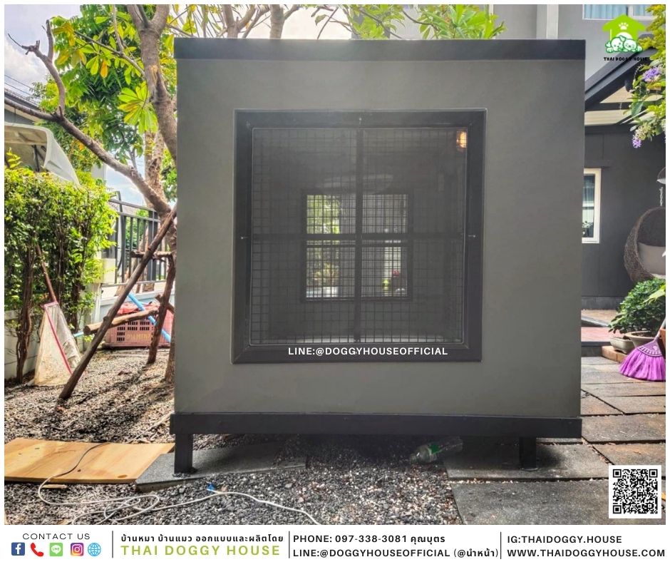 บ้านหมา Box style