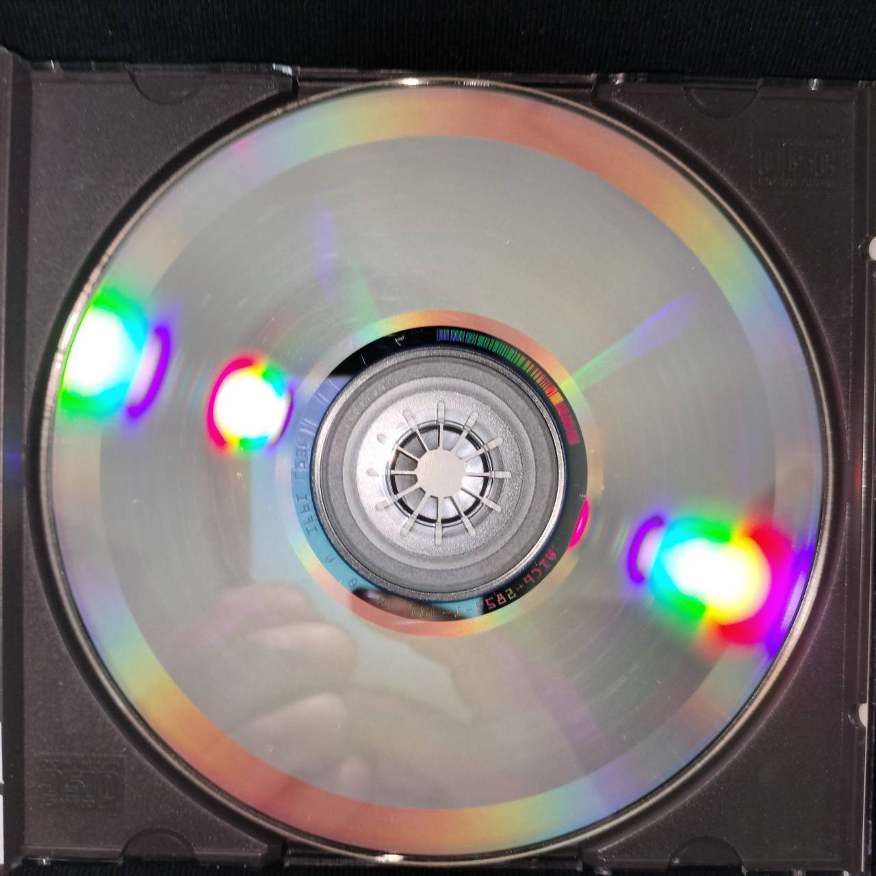 TNT – Firefly / JAPAN / ปกในเก่าเก็บ / แผ่นดี