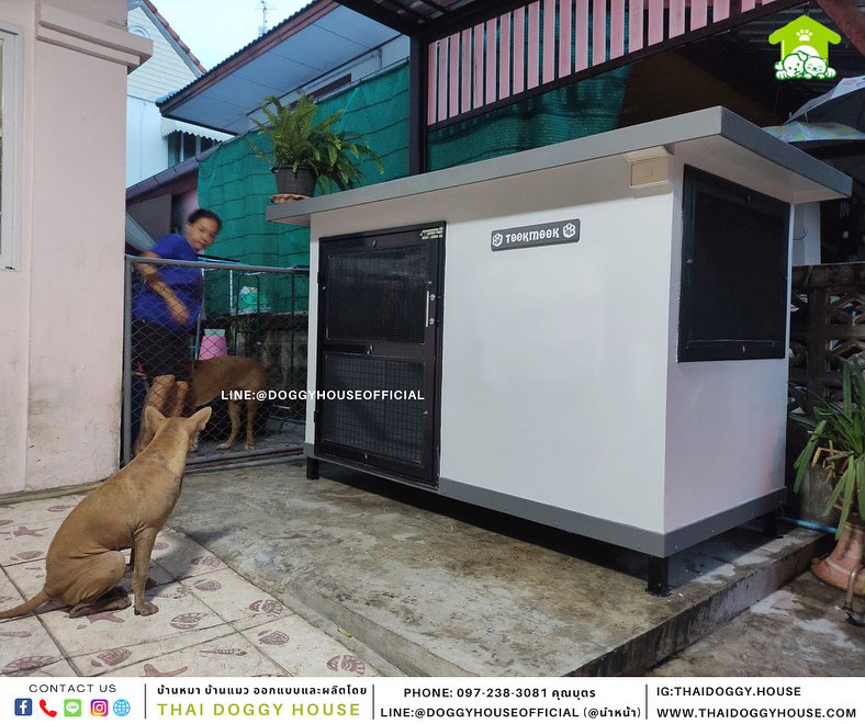 บ้านหมา แบบบ้าน Box style