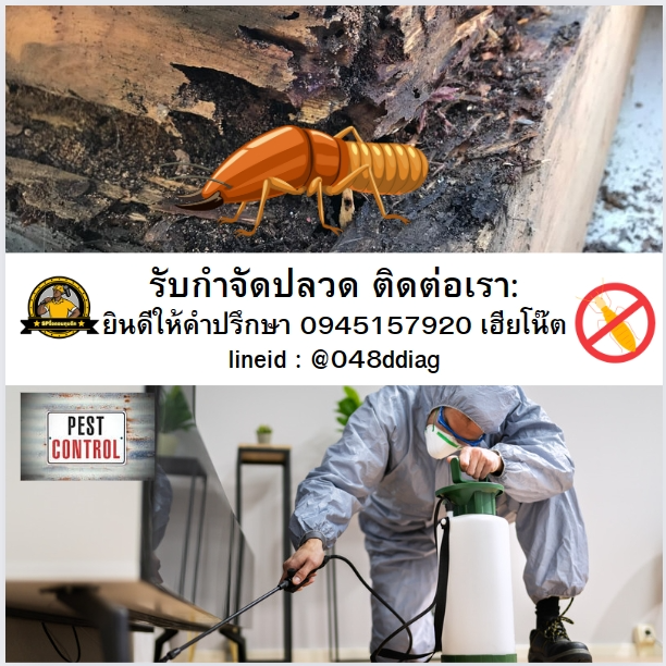 รับกำจัดปลวก รับกำจัดปลวก
