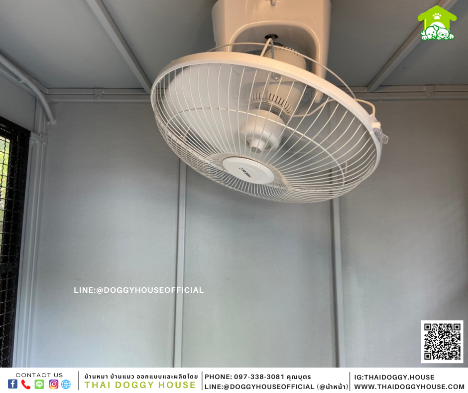 บ้านหมา แบบบ้าน Box Style