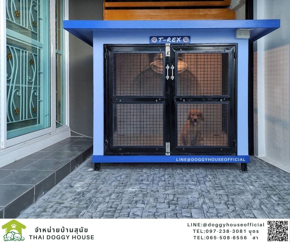 บ้านหมา