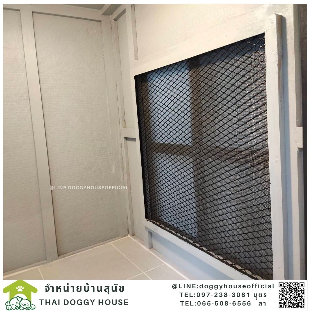 บ้านหมาทรงBOX