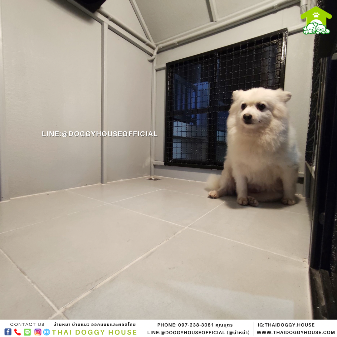 บ้านหมา Nordic style