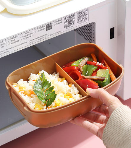 กล่องข้าว,กล่องใส่ข้าวพลาสติก,กล่องใส่ข้าวพร้อมช้อนตะเกียบ