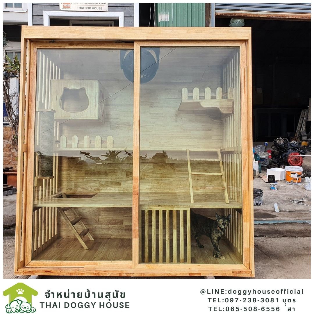 บ้านแมว สไตล์มินิมอล