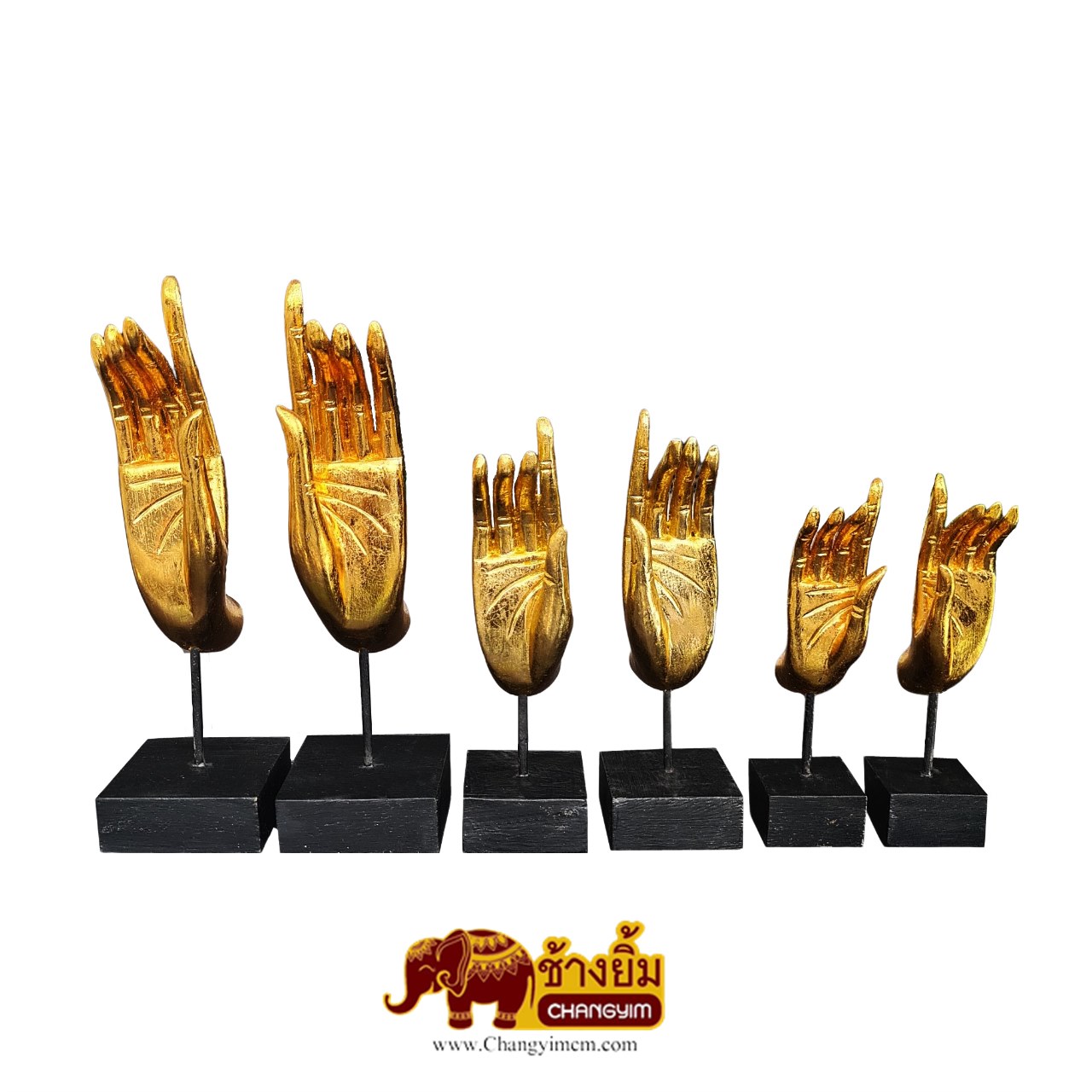 มือตั้ง ( คู่ )