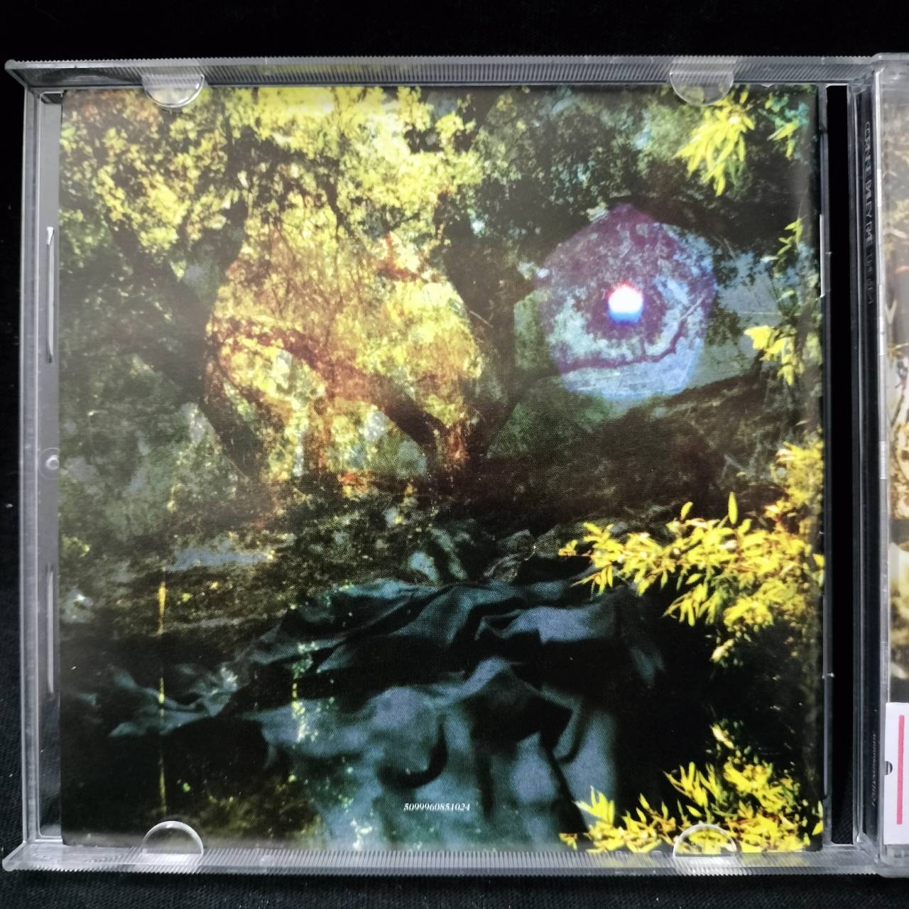 Corinne Bailey Rae – The Sea / THAILAND / ปกเจาะ / แผ่นโปรโม / แผ่นดี