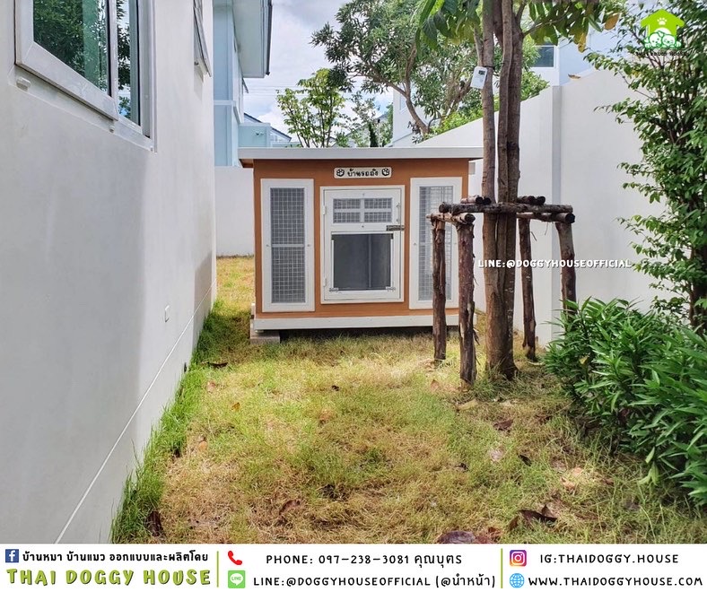 บ้านหมา รุ่นนิยม แบบบ้าน Box Style