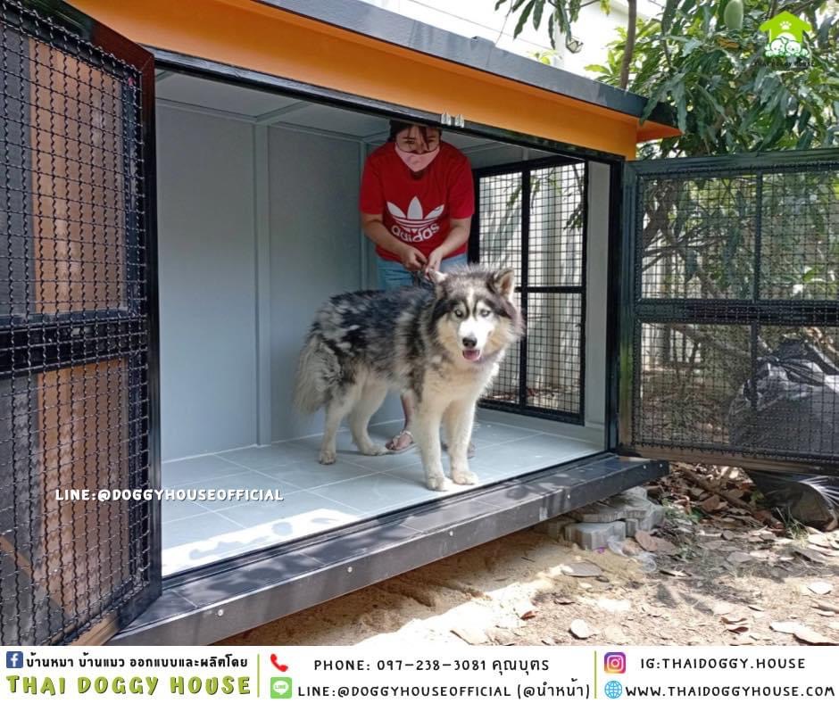 บ้านหมา แบบบ้าน Box style