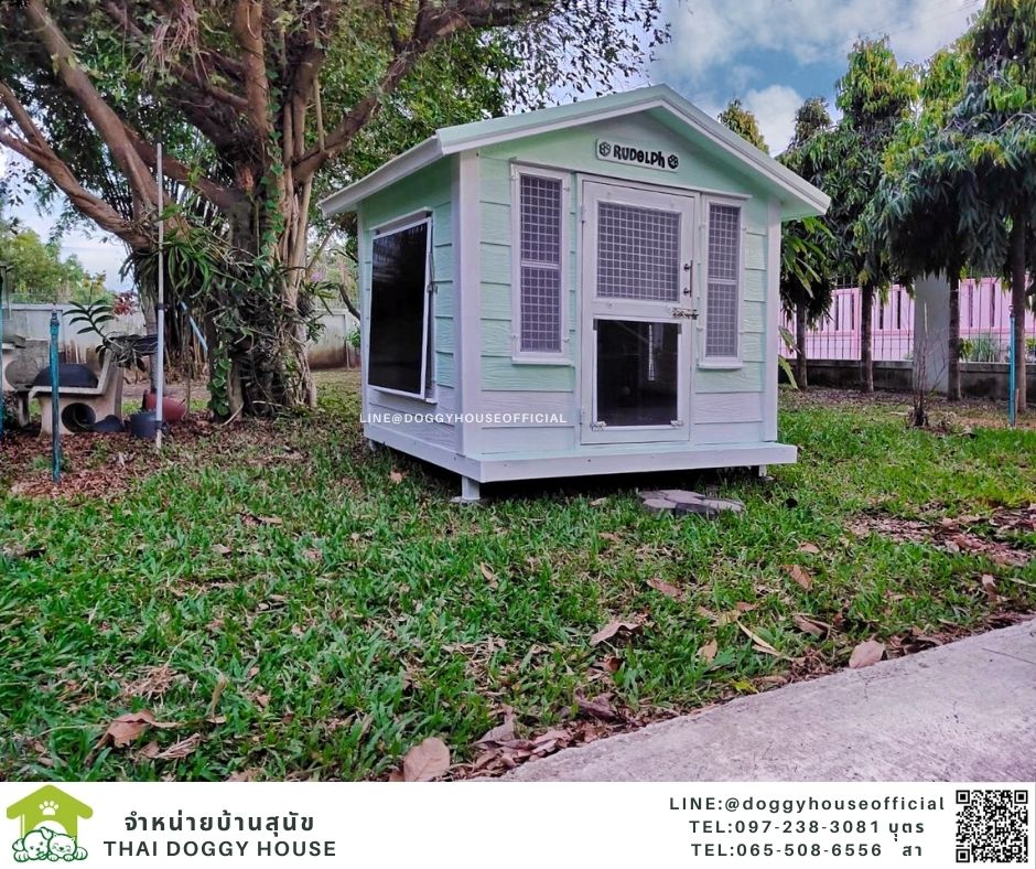 บ้านหมา ทรงจั่ว