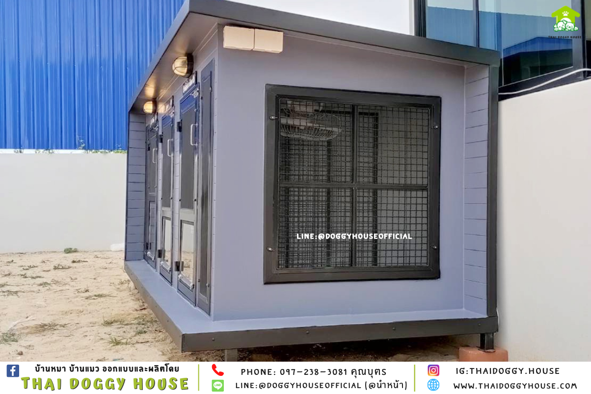 บ้านหมา หลังใหญ่ แบ่ง 𝟑 ห้อง แบบบ้าน 𝐁𝐎𝐗 𝐒𝐓𝐘𝐋𝐄