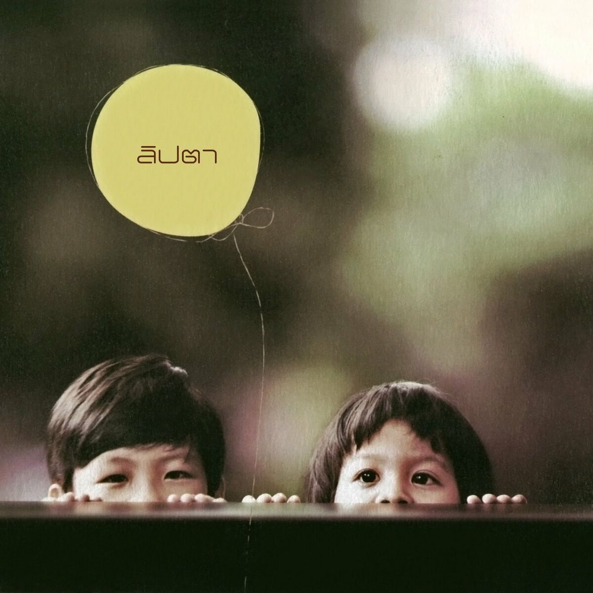 ลิปตา - Lipta / กล่องกระดาษขาดตรงจุดพับ / แผ่นดี