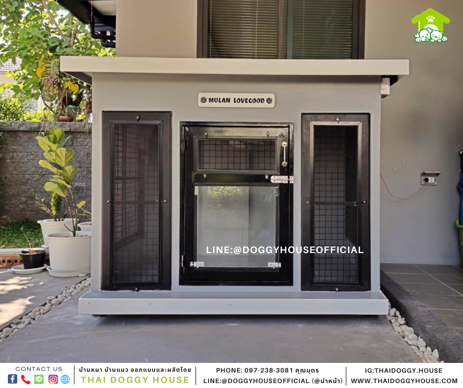 บ้านหมา แบบบ้าน Box style