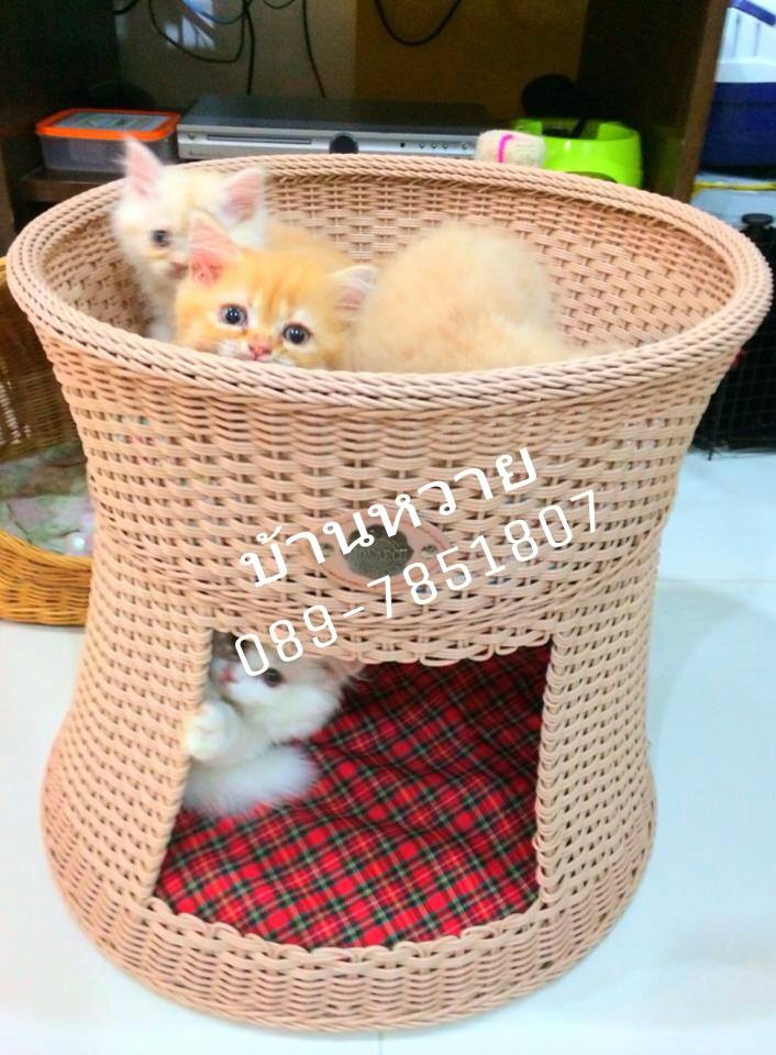 คอนโดหวาย 2 ชั้น คอนโดแมว 2 ชั้น ที่นอนอุโมงค์ 2 ชั้นทำจากหวายเทียม