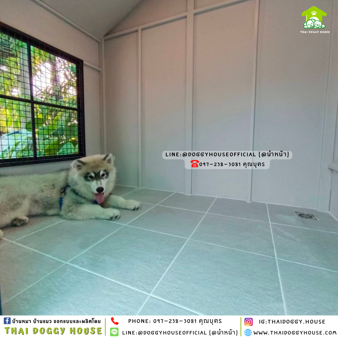 บ้านหมา ติดพัดลม มีมุ้งลวด + ตะแกรงเหล็ก 𝐍𝐨𝐫𝐝𝐢𝐜 𝐬𝐭𝐲𝐥𝐞 🏡✨