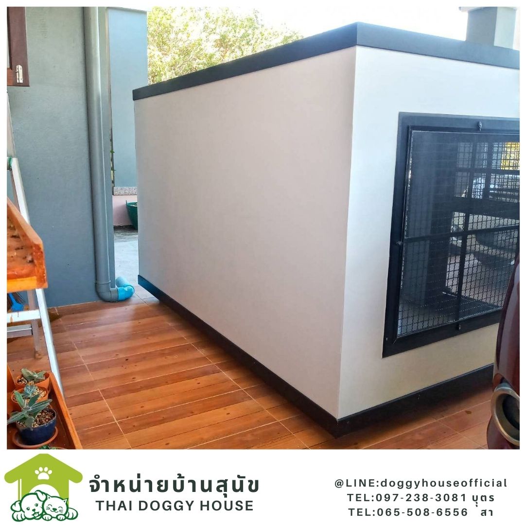 บ้านหมา