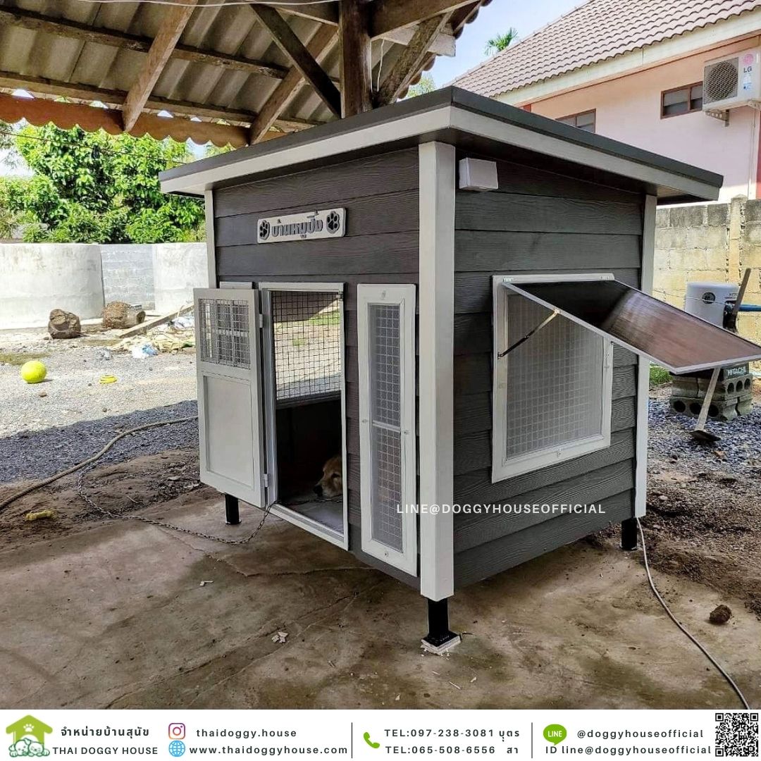 บ้านหมา