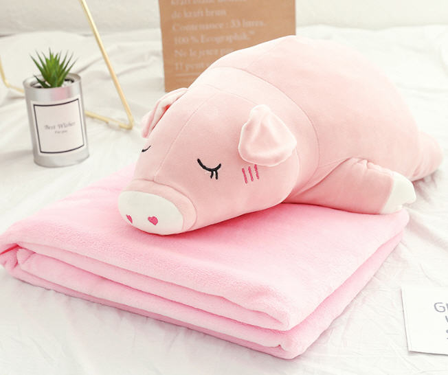 หมอนตุ๊กตา,หมอนตุ๊กตาผ้าห่ม,หมอนผ้าห่ม