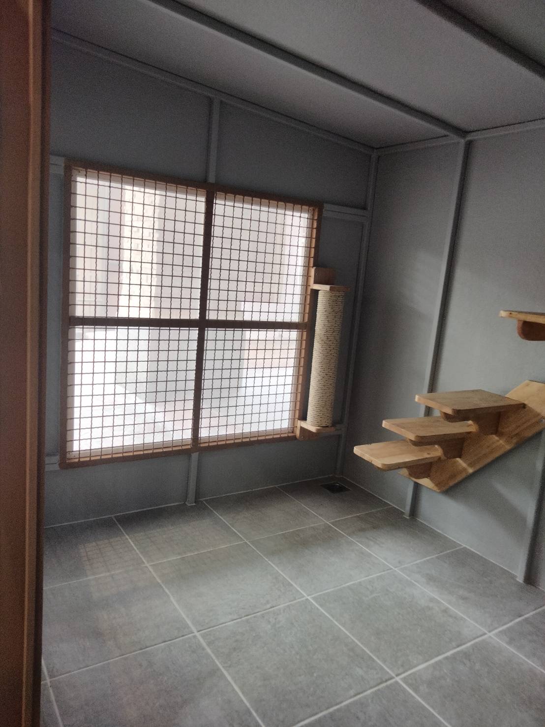 บ้านแมว แบบบ้าน 𝐁𝐎𝐗 𝐒𝐓𝐘𝐋𝐄