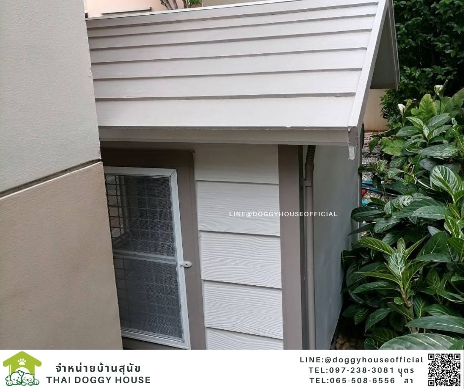 บ้านหมา