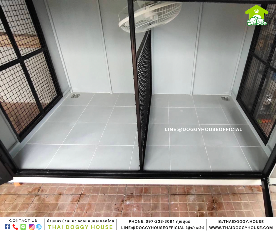 บ้านหมา แบบบ้าน Box style