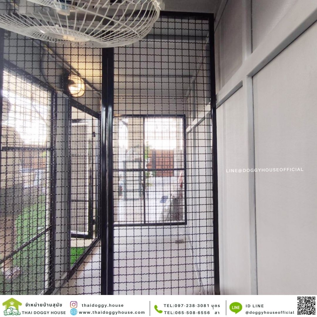 บ้านหมา