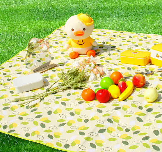 เสื่อปิกนิกพับได้,เสื่อชายหาด, เสื่อกันน้ำ,โรงงานผลิต,สกรีนโลโก้,1m*1.5m,1.5m*2m,2m*2m