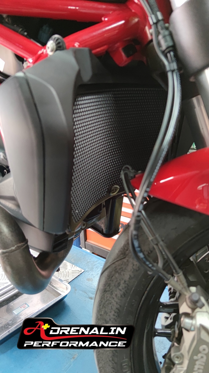 RG Racing การ์ดหม้อน้ำ (Radiator guard) สำหรับ Monster 821 2018+