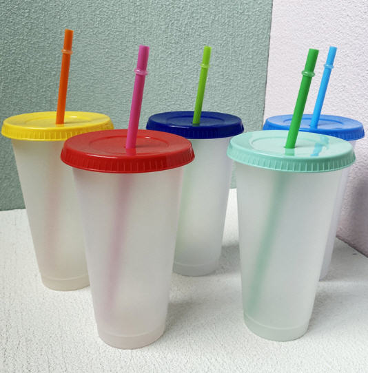 แก้วพลาสติกพร้อมหลอด,แก้วพลาสติก,500ml,700ml