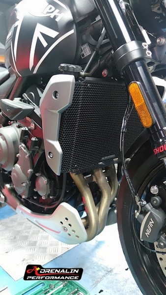 Evotech - การ์ดหม้อน้ำ สำหรับ Triumph Trident 2021+