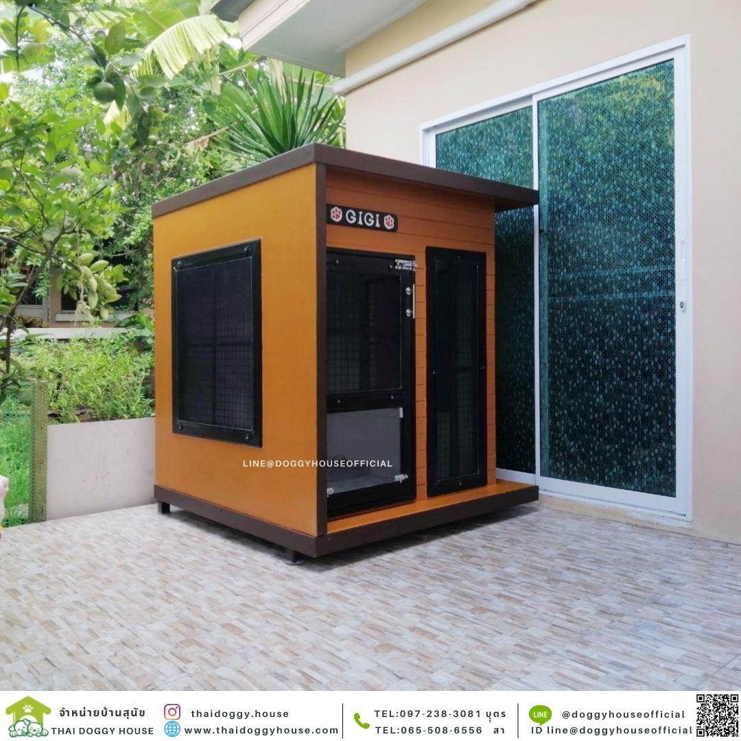 บ้านหมา