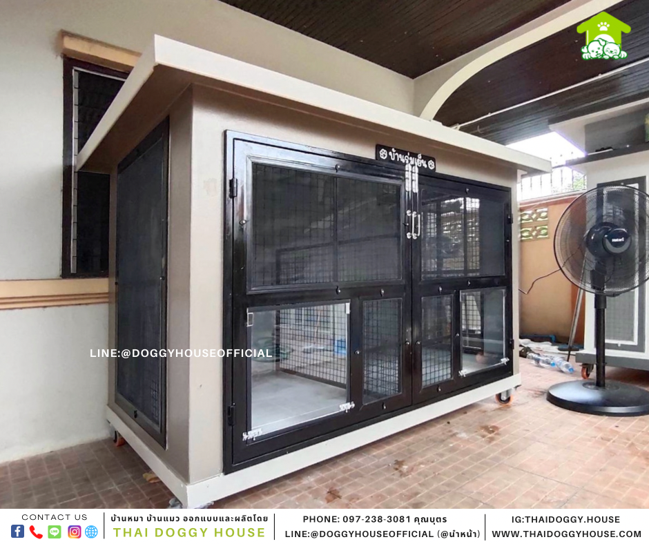 บ้านหมา แบบบ้าน Box style