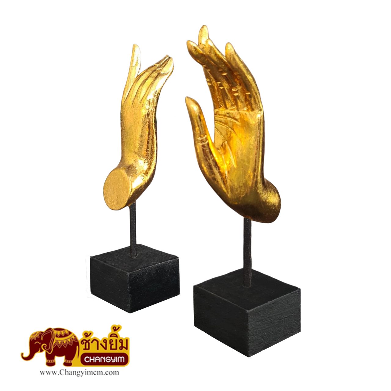 มือตั้ง ( คู่ )