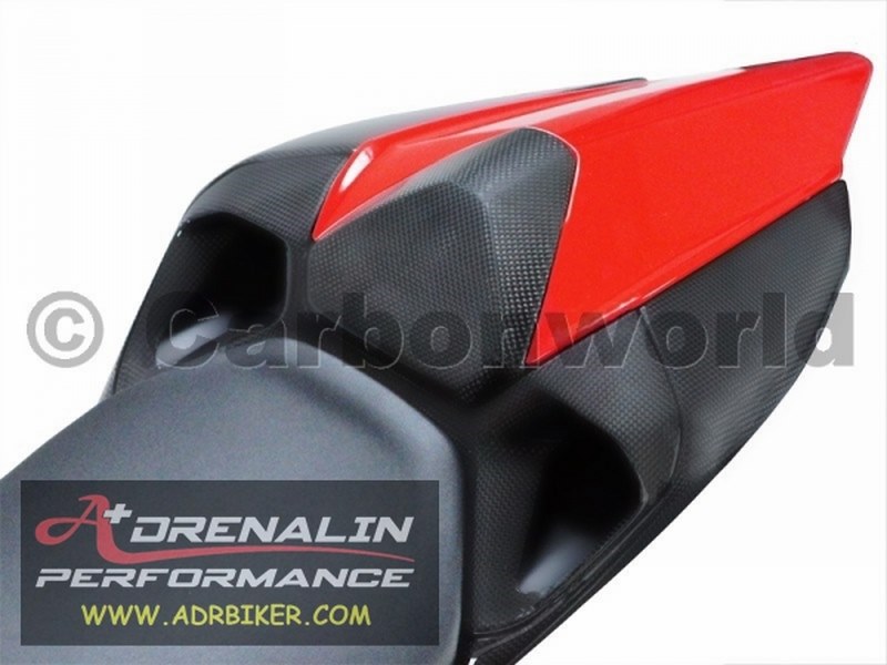 Carbon world ช่องลมหลังคาร์บอน สำหรับ Panigale ทุกรุ่น