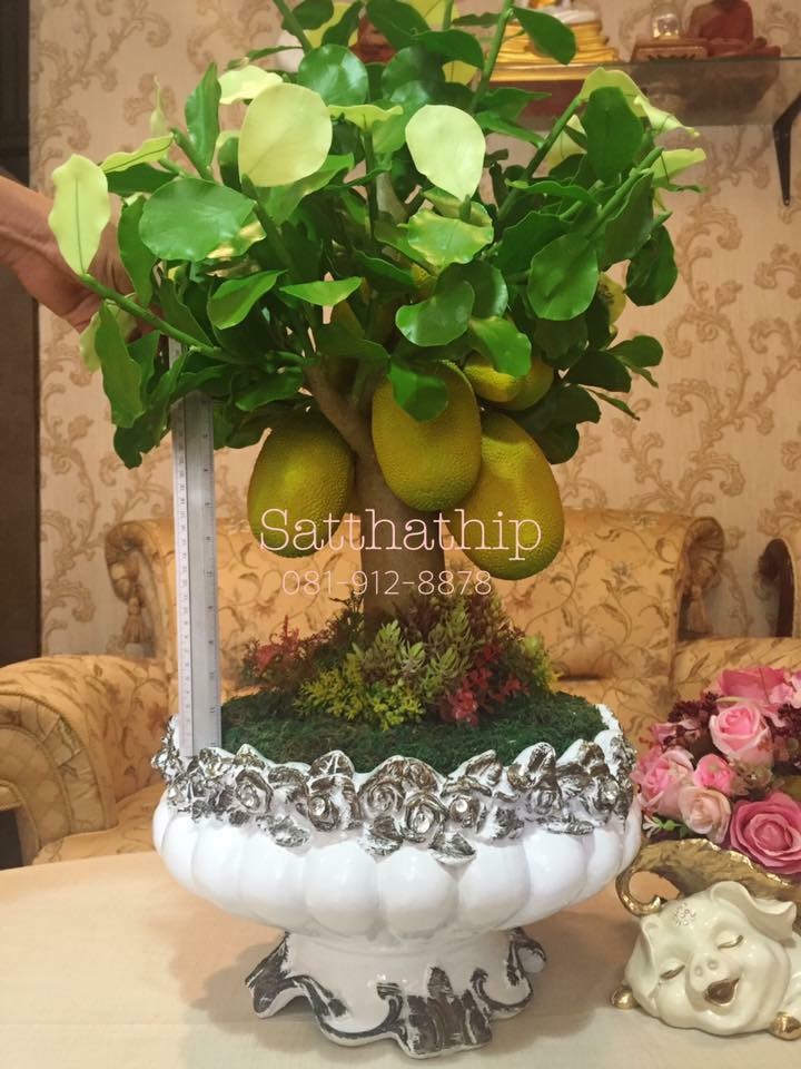ต้นขนุน - ต้นขนุน ประดิษฐ์จากดิน - Jackfruit tree