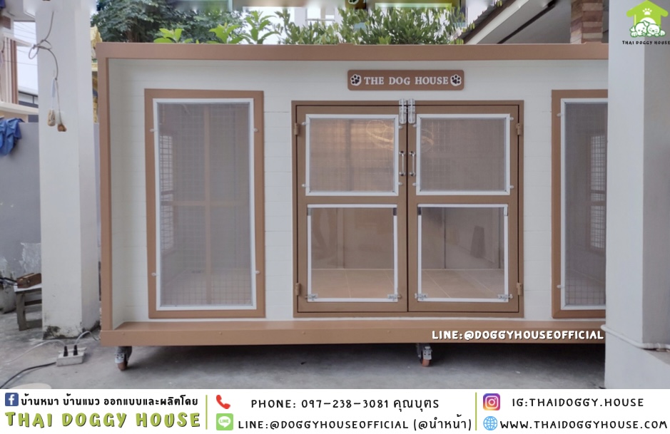 บ้านหมา แบบบ้าน BOX STYLE