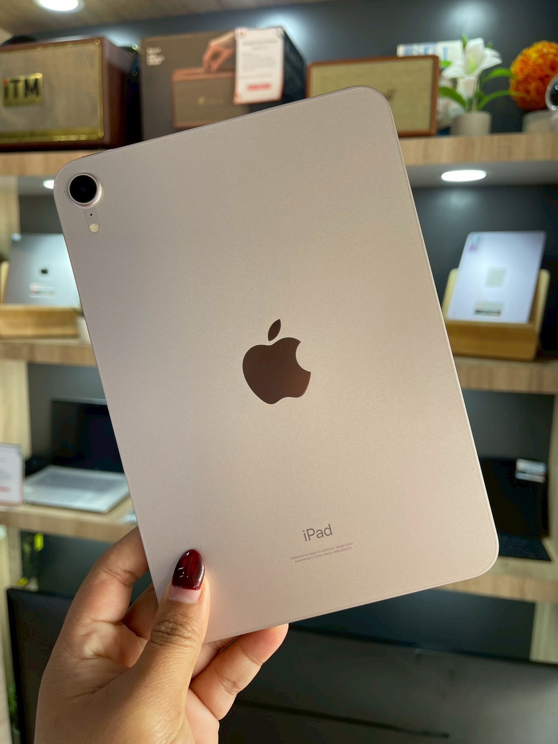 iPad mini 6th 64GB WiFi สี Pink