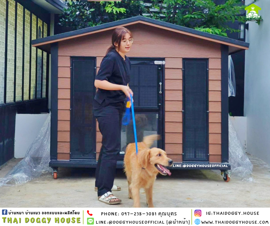 บ้านหมา ติดพัดลม ทรงจั่ว 𝐕𝐢𝐧𝐭𝐚𝐠𝐞 𝐬𝐭𝐲𝐥𝐞