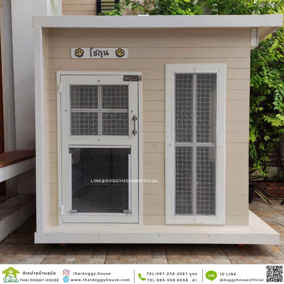 บ้านหมา รุ่นยอดฮิต