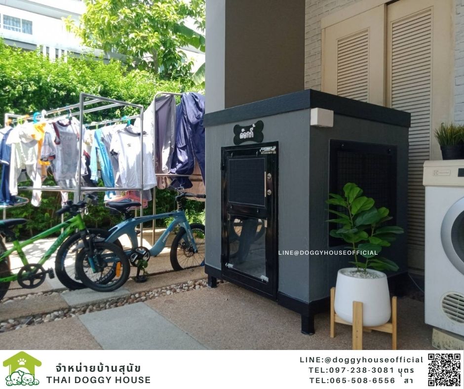 บ้านหมา