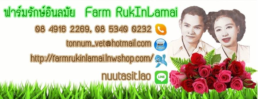 เกษตรอินทรีย์ organic farm