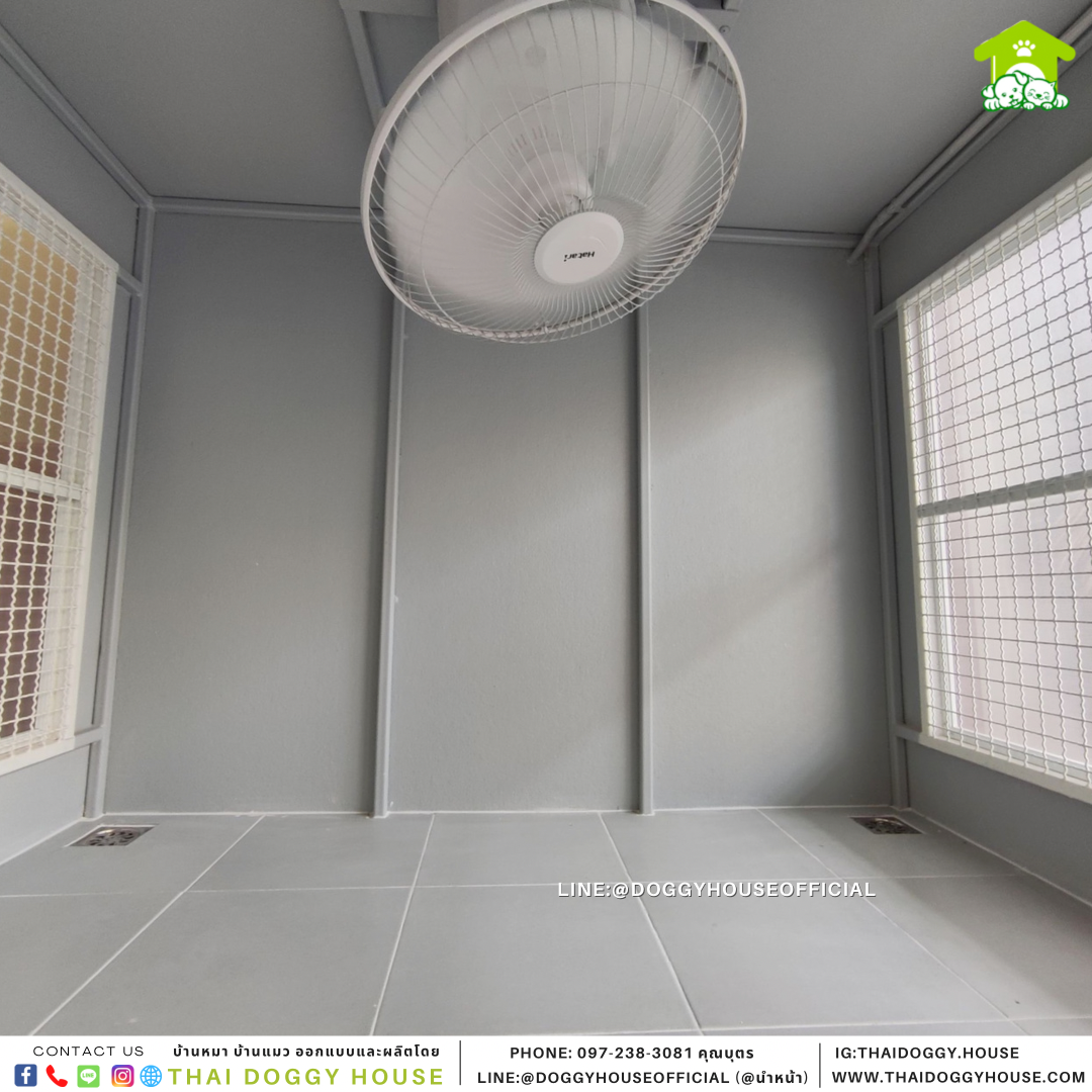 บ้านหมา แบบบ้าน Box Style