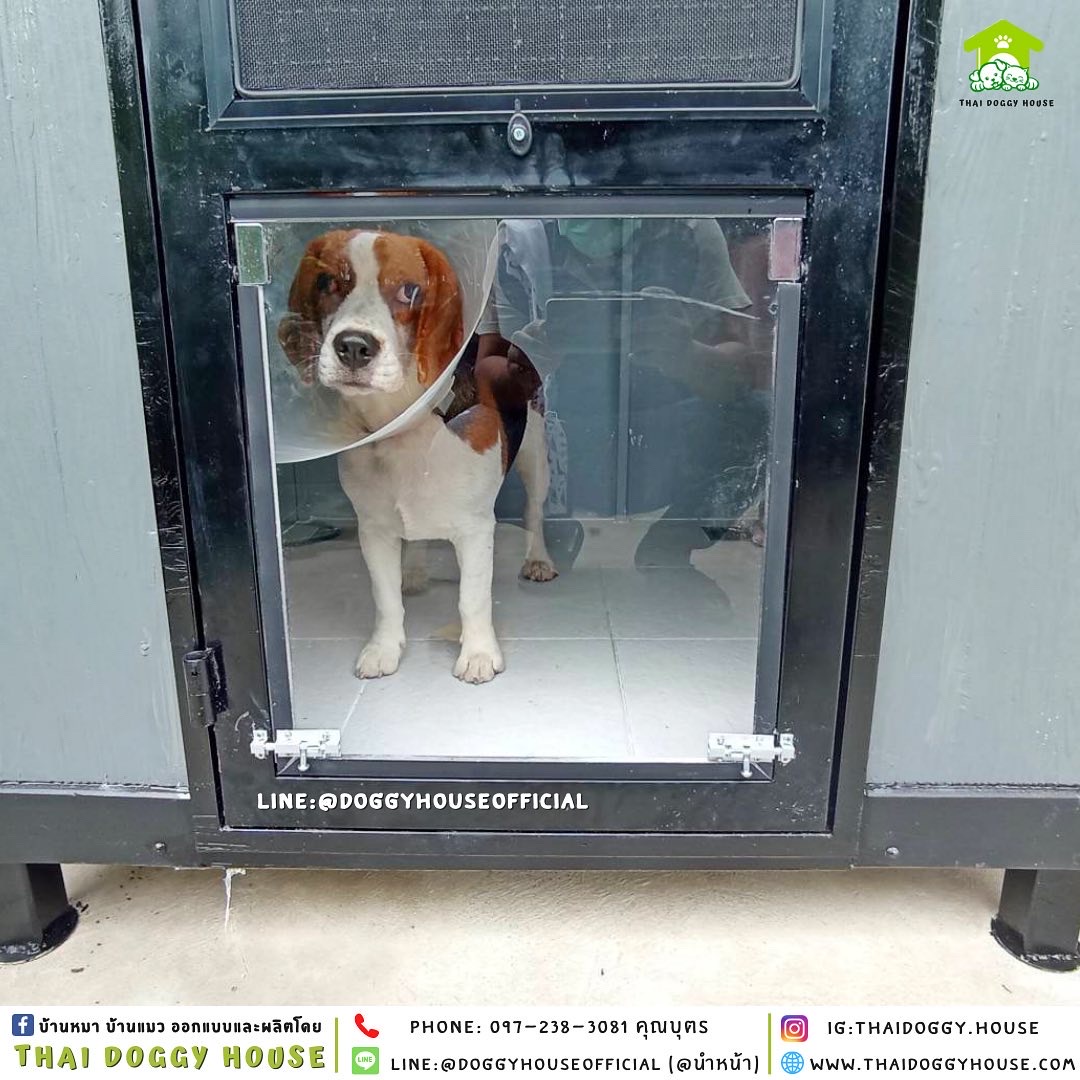 บ้านหมา แบบบ้าน 𝐕𝐢𝐧𝐭𝐚𝐠𝐞 𝐬𝐭𝐲𝐥𝐞