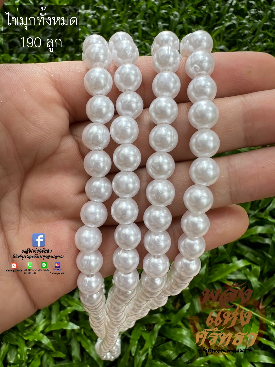 สร้อยไข่มุก มุกขาว ถวายเจ้าแม่กวนอิม ความยาว 69 เซ็นติเมตร