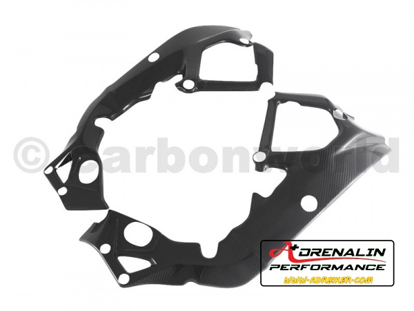 Carbon World - ครอบเฟรม frame cover สำหรับ S1000RR 15+