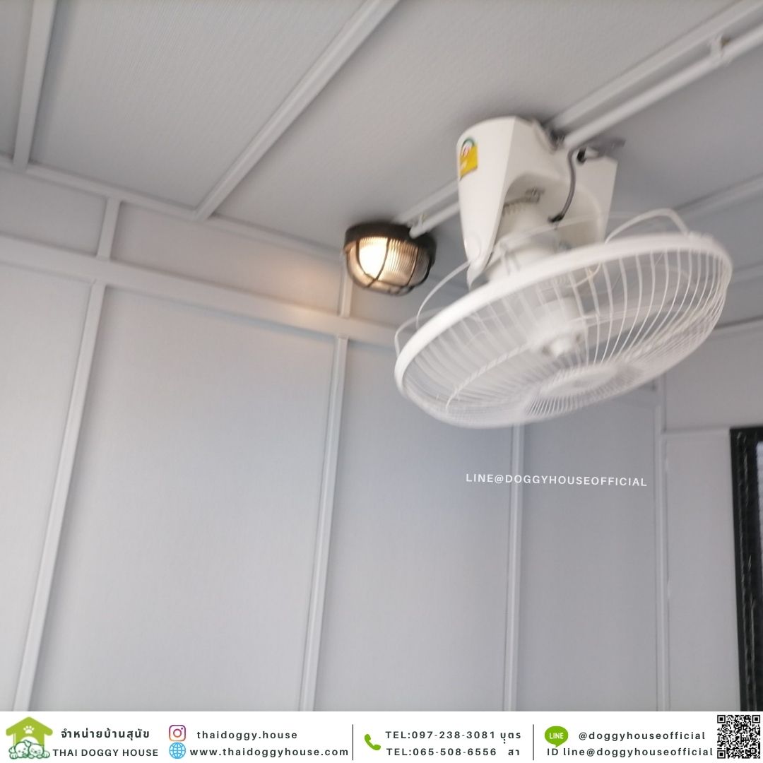 บ้านหมา