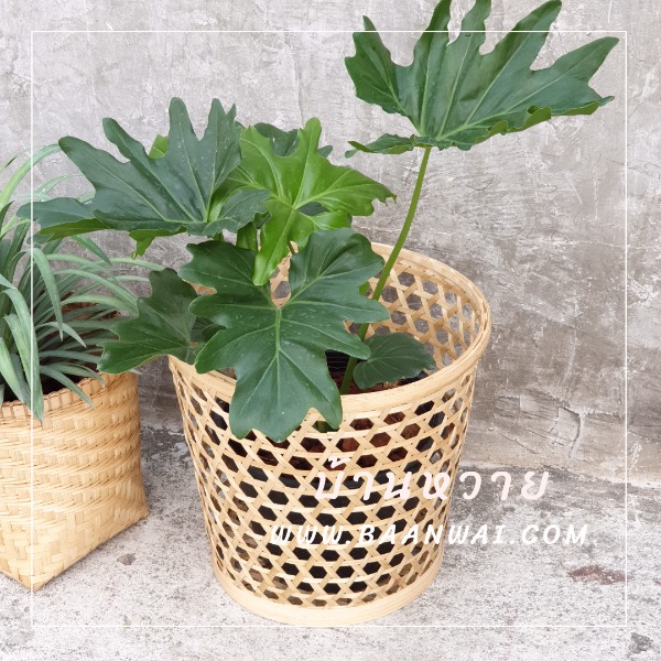 ตะกร้าต้นไม้ ตะกร้าชะลอมแบบโปร่ง มี 3 ขนาด