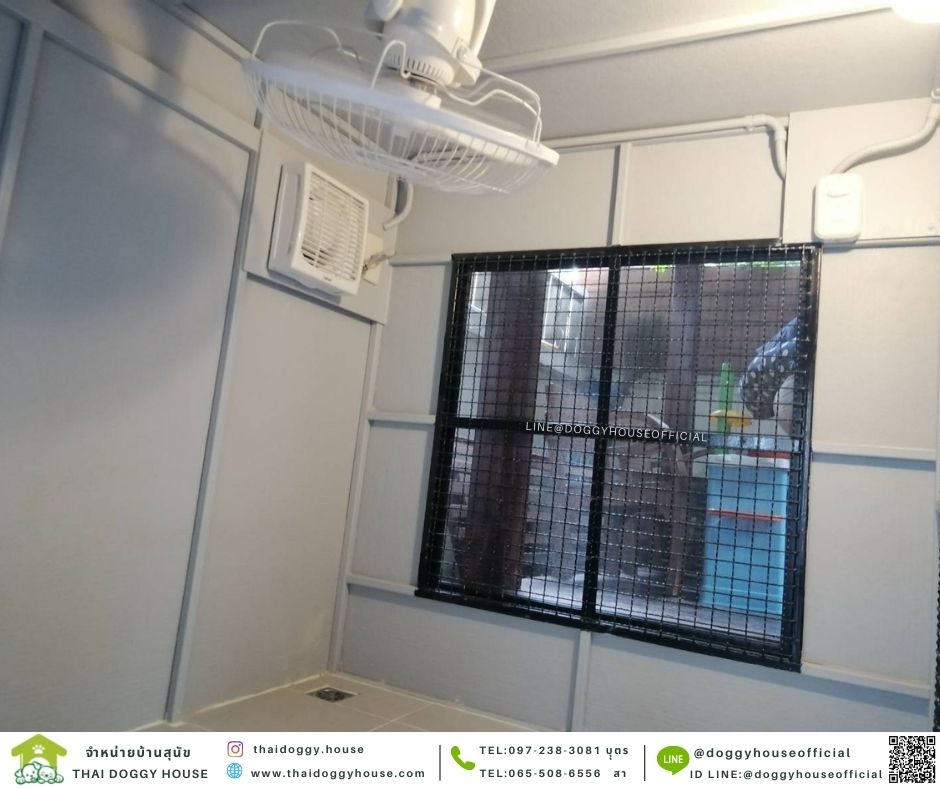 บ้านหมา