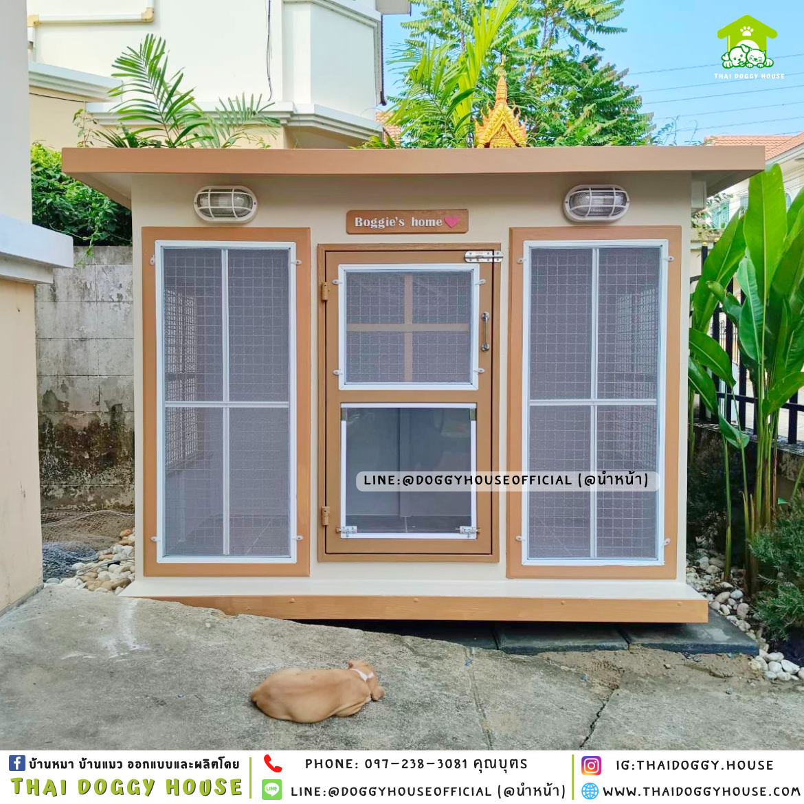 🧡บ้านหมา ติดพัดลม มีมุ้งลวด ตะแกรงเหล็ก แบบบ้าน 𝐁𝐨𝐱 𝐬𝐭𝐲𝐥𝐞🏡